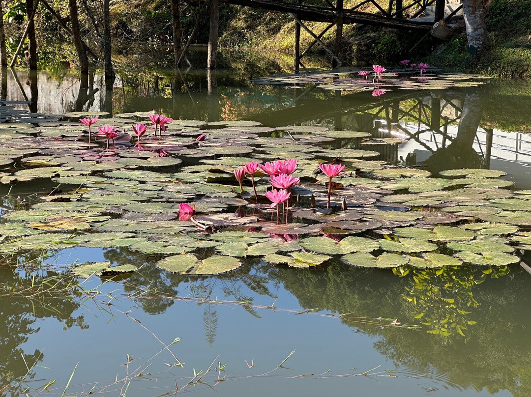 Khun Nan National Park景点图片