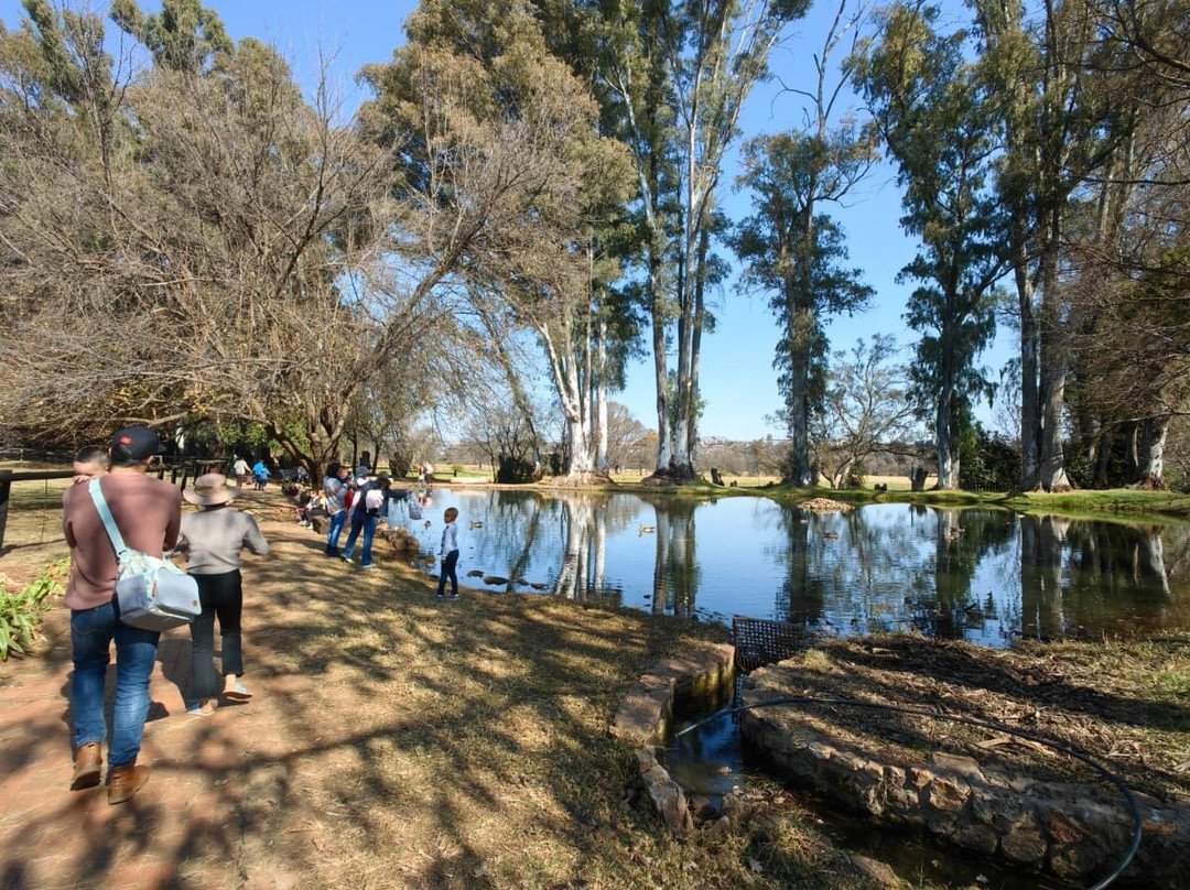 Irene Farm-三图里恩必去景点