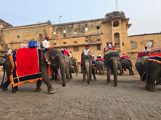 Travel To India Private Limited-哈里瓦必去景点