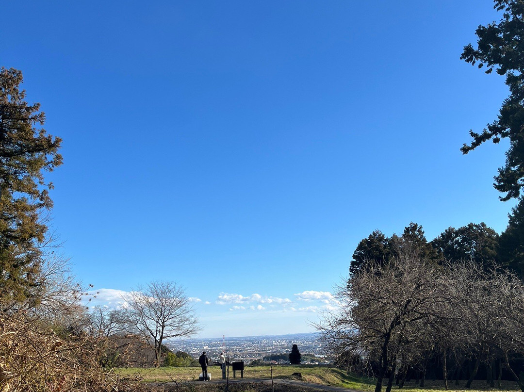 Minowa Castle Ruins景点图片