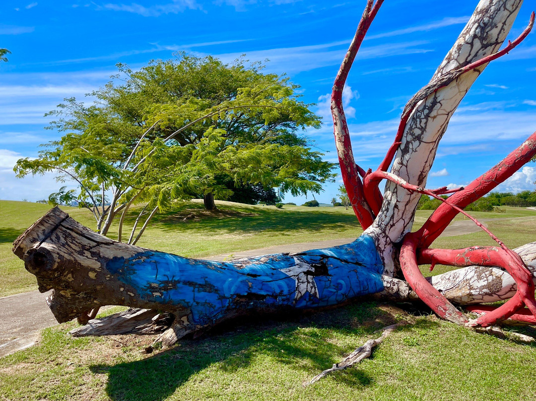 El Legado Golf Resort主图