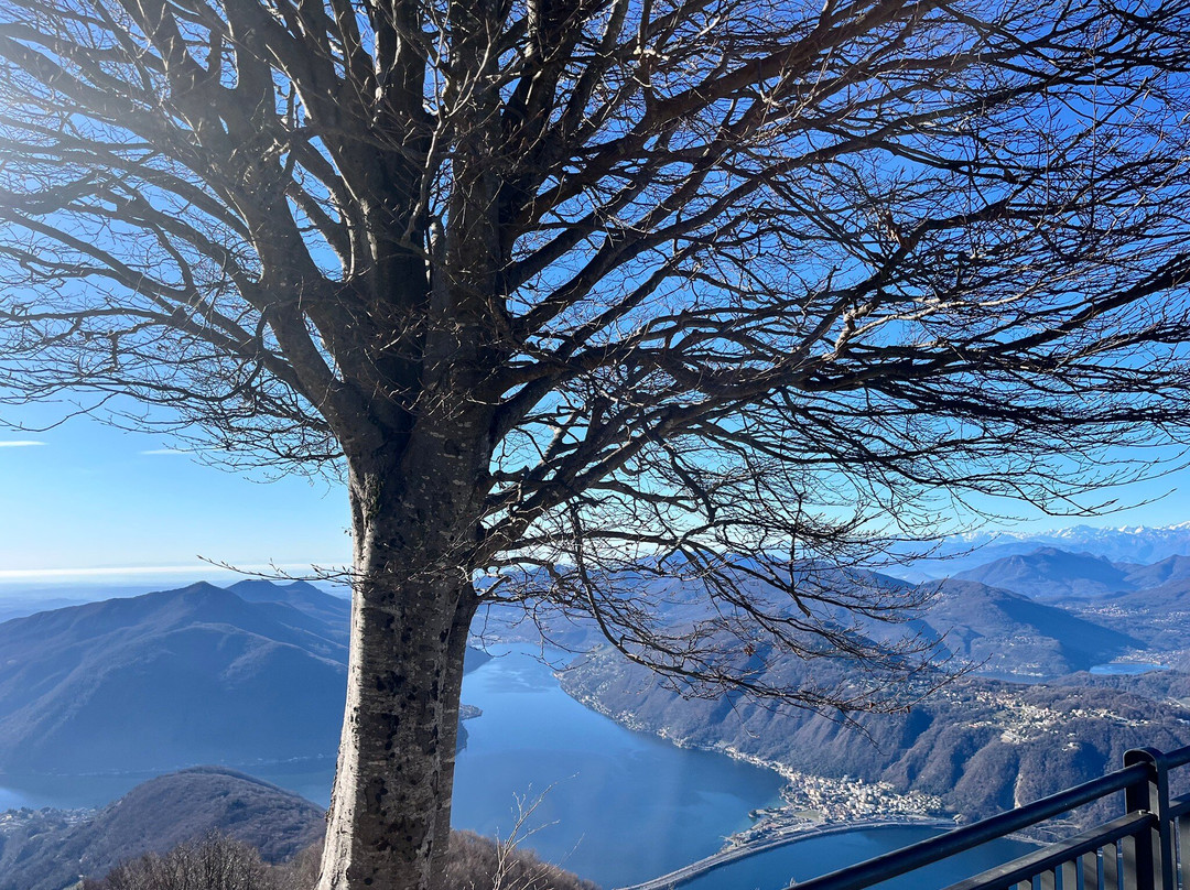 Belvedere della Sighignola景点图片