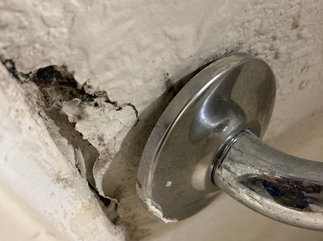 支流贝斯特韦斯特套房酒店主图