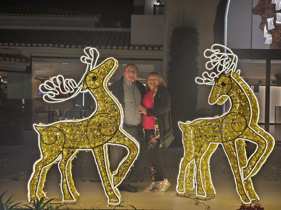 Pyr马贝拉酒店主图