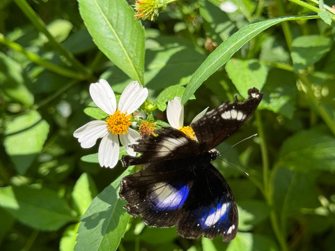 火车公园-曼谷必去景点