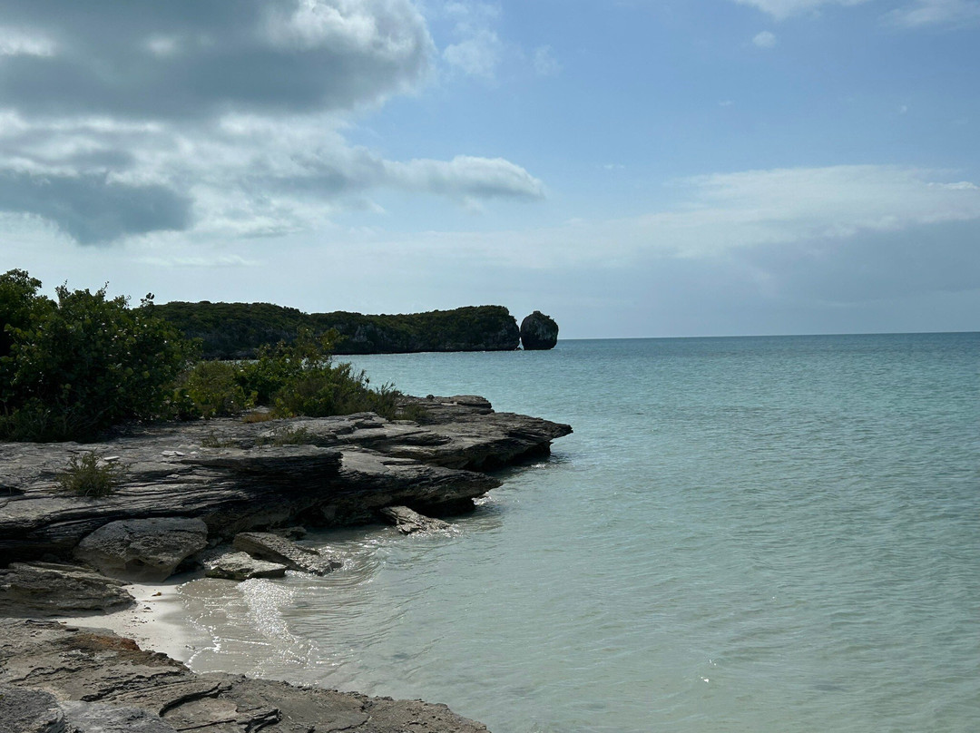 Bonefish Point-普罗维登西亚莱斯必去景点