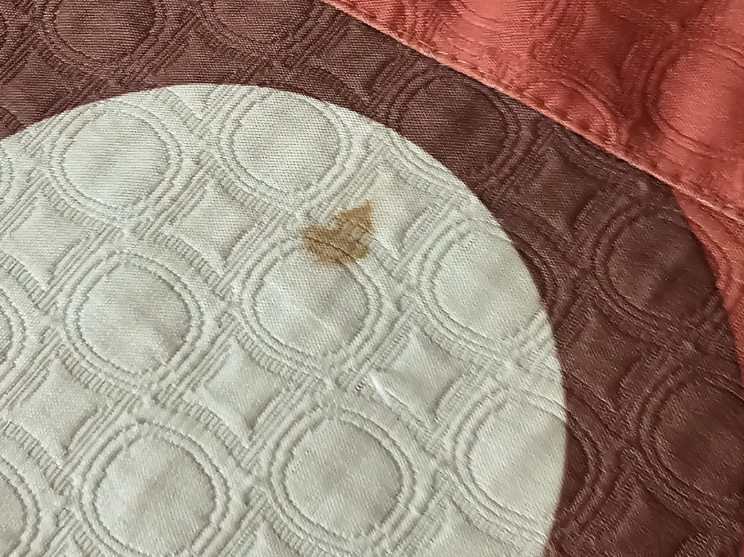 Super 8 by Wyndham Chipley主图