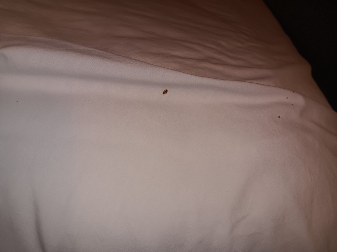 Baymont By Wyndham Brooklyn Center主图