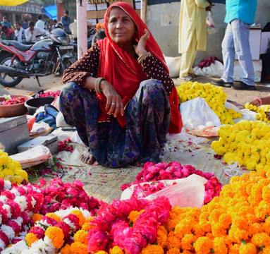 Unique Jaipur Tour-斋蒲尔必去景点