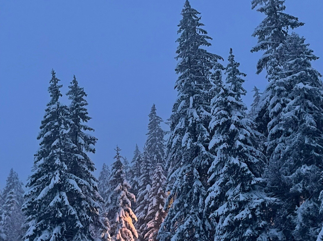 Forest Nook 1 & 2主图