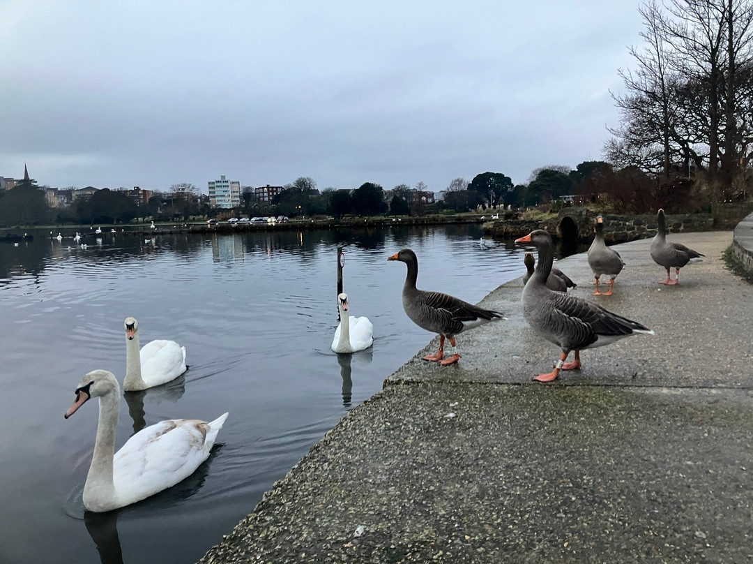 Poole Park-普尔必去景点