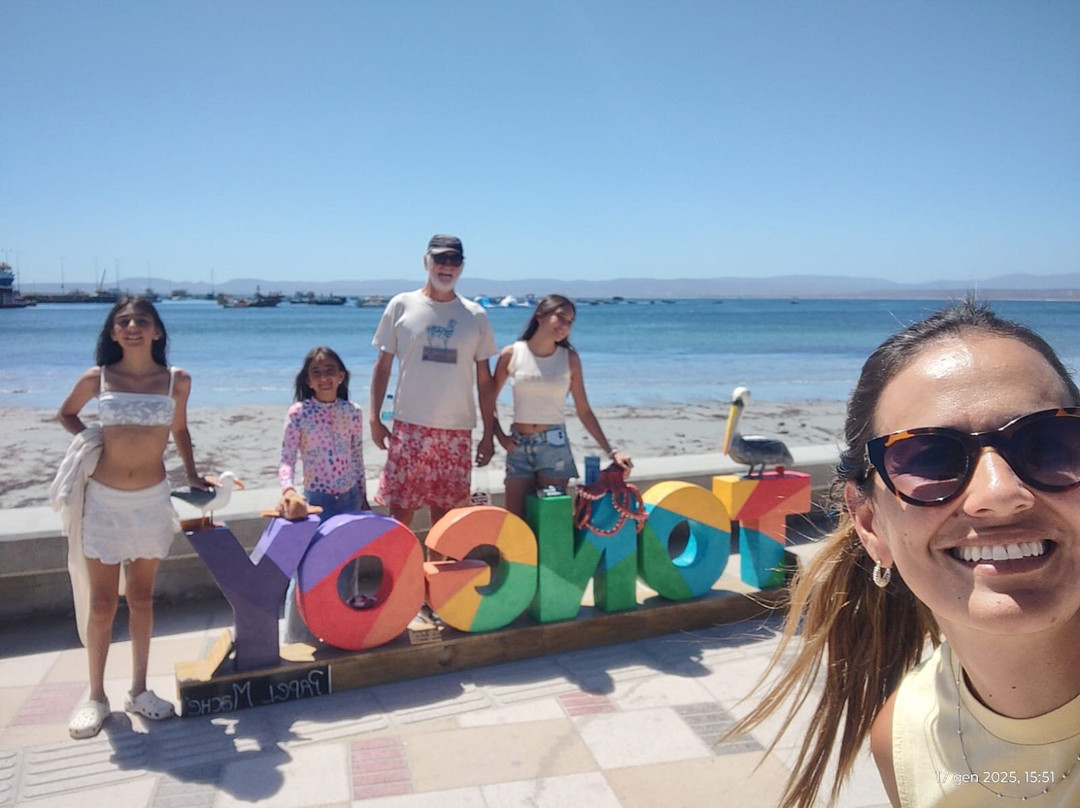 Playa Tongoy-Castro必去景点