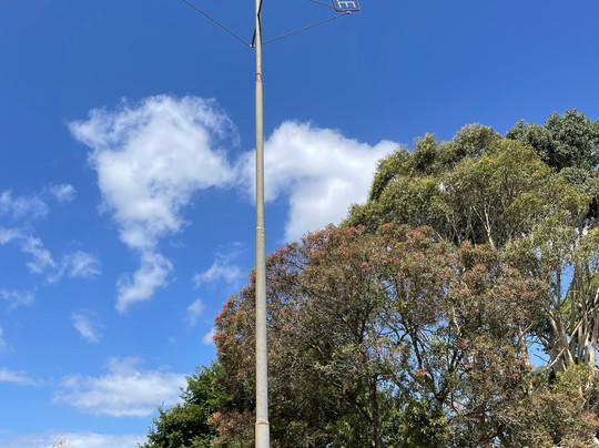 Site Of The World's Tallest Tree-Thorpdale必去景点
