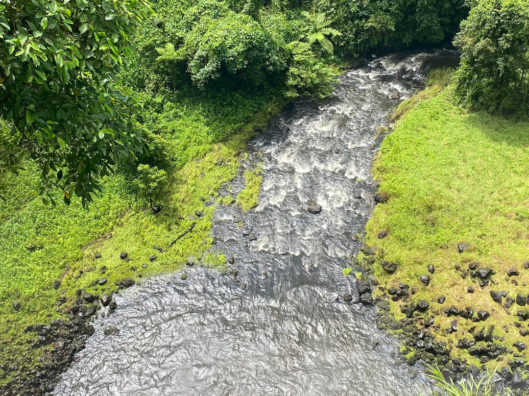 Fuipisia Waterfall-Upolu必去景点