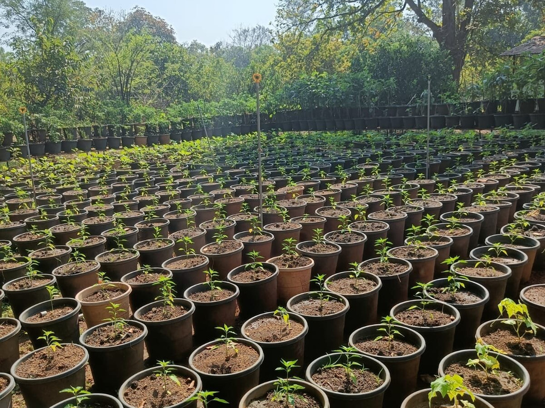 Dirghayu Farms Agri Resort Pvt. Ltd.主图