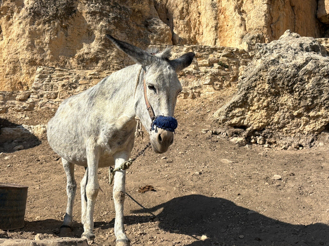 Iraq Al Amir-安曼必去景点