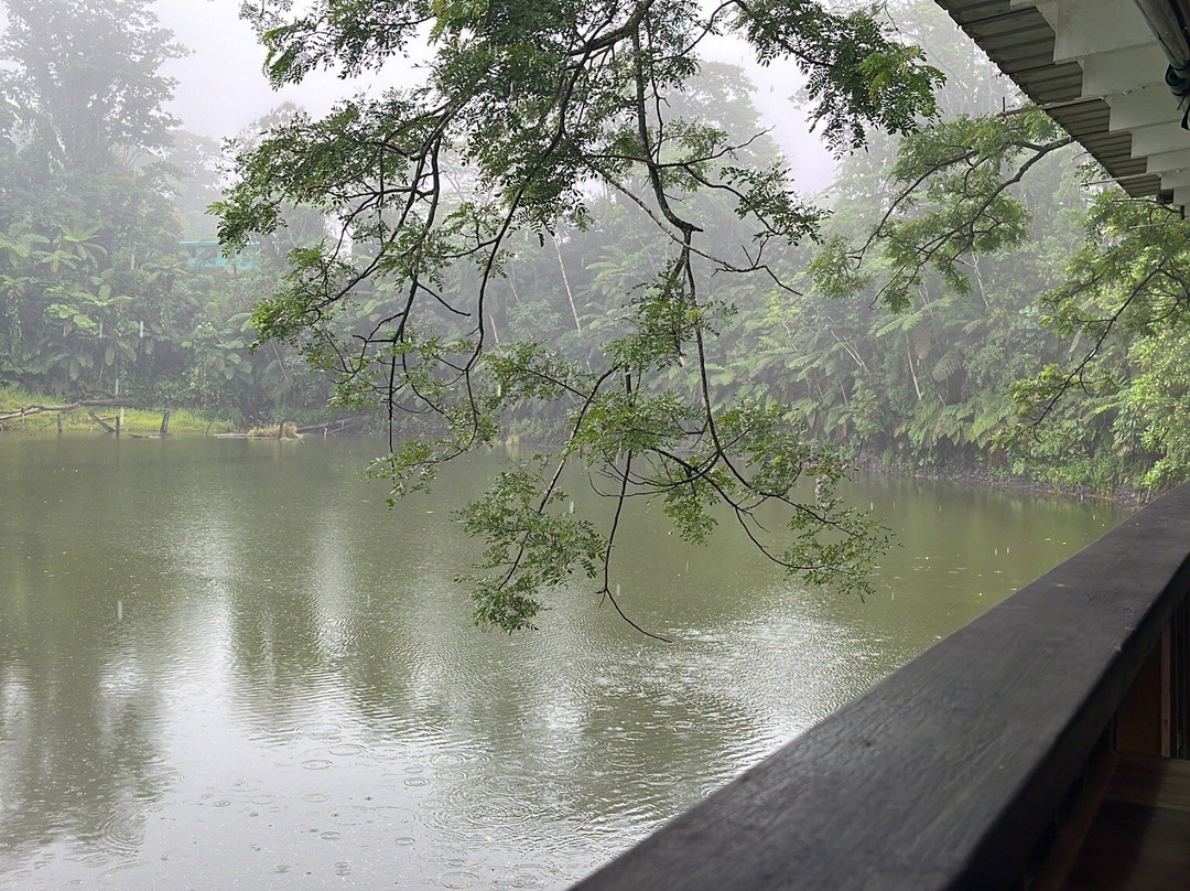 Rainforest Eco Lodge主图