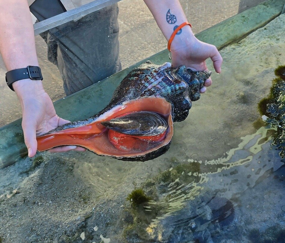 Tarpon Springs Aquarium and Animal Sanctuary-塔彭斯普林斯必去景点