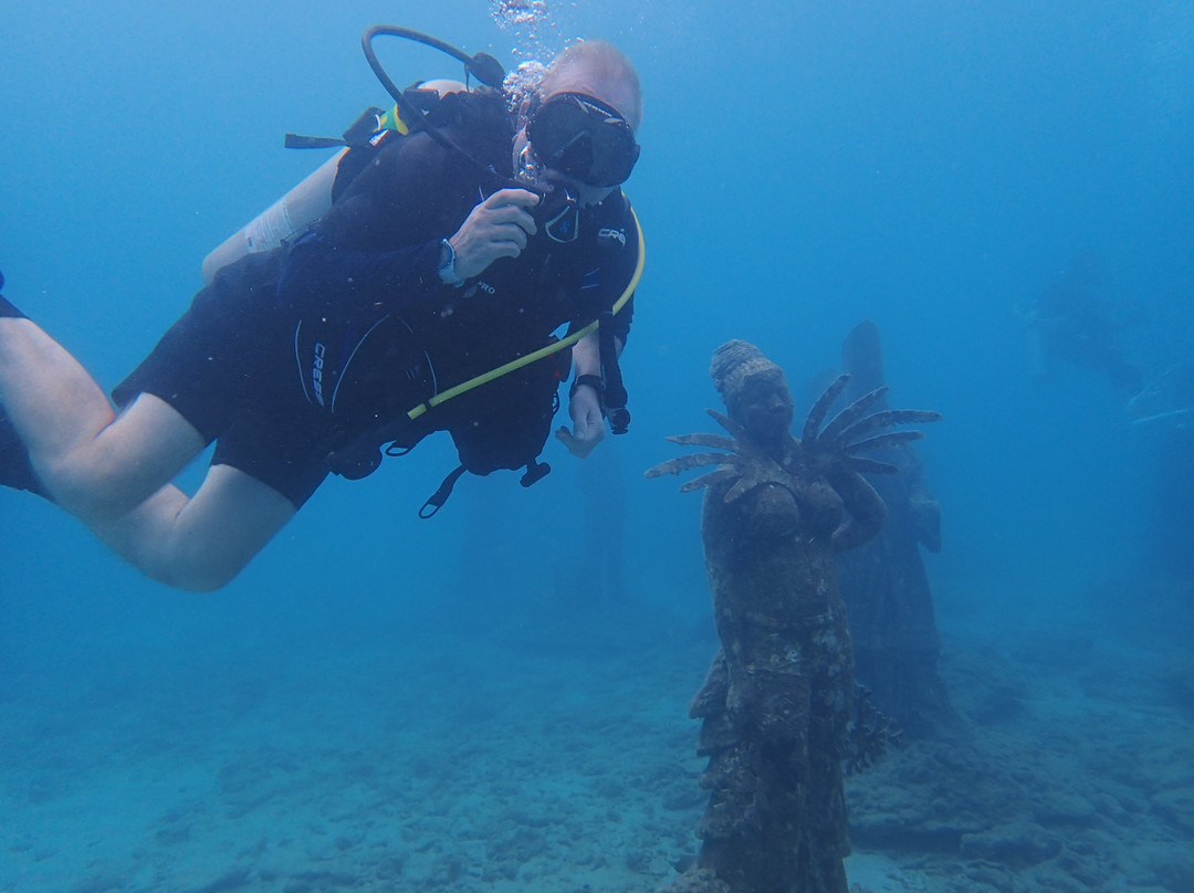 Eco Dive-St. George's必去景点