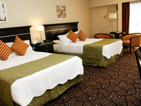 戈雅康达 酒店主图