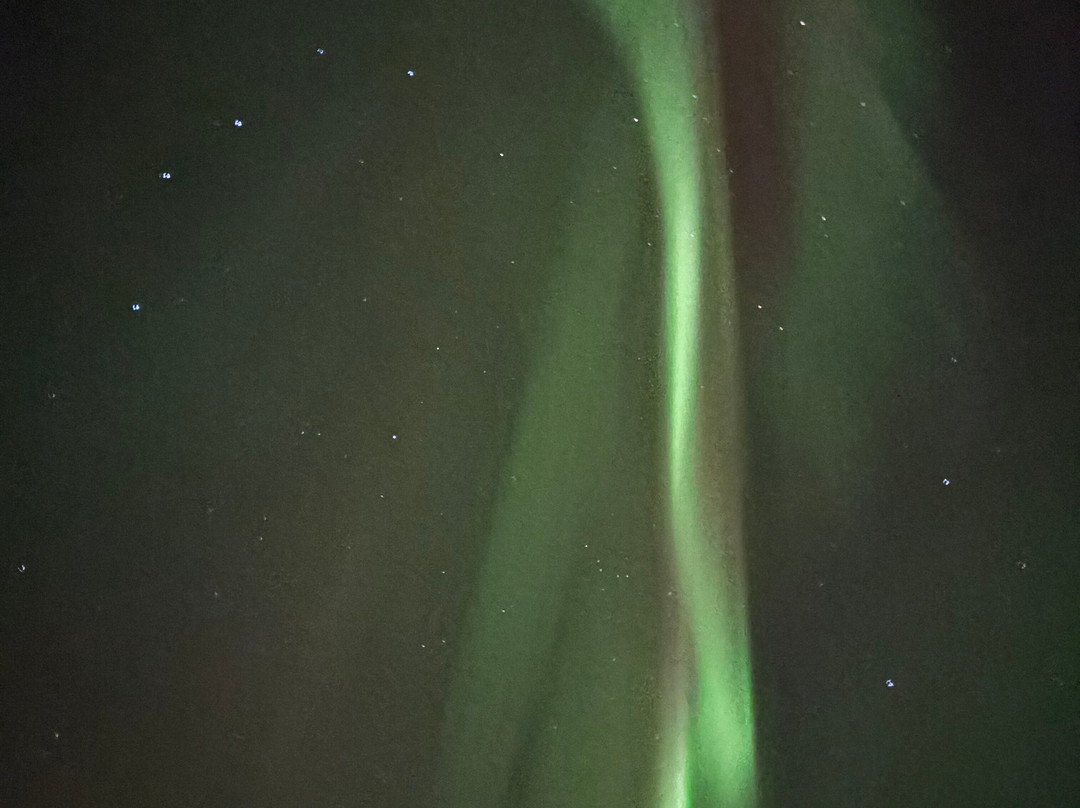 Wandering Alaska Llc-费尔班克斯必去景点