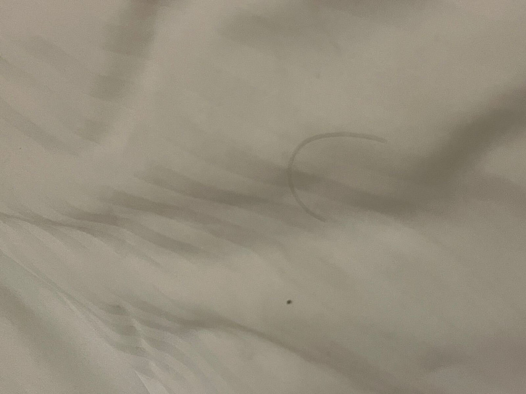 Best Western Plus Salmiya主图