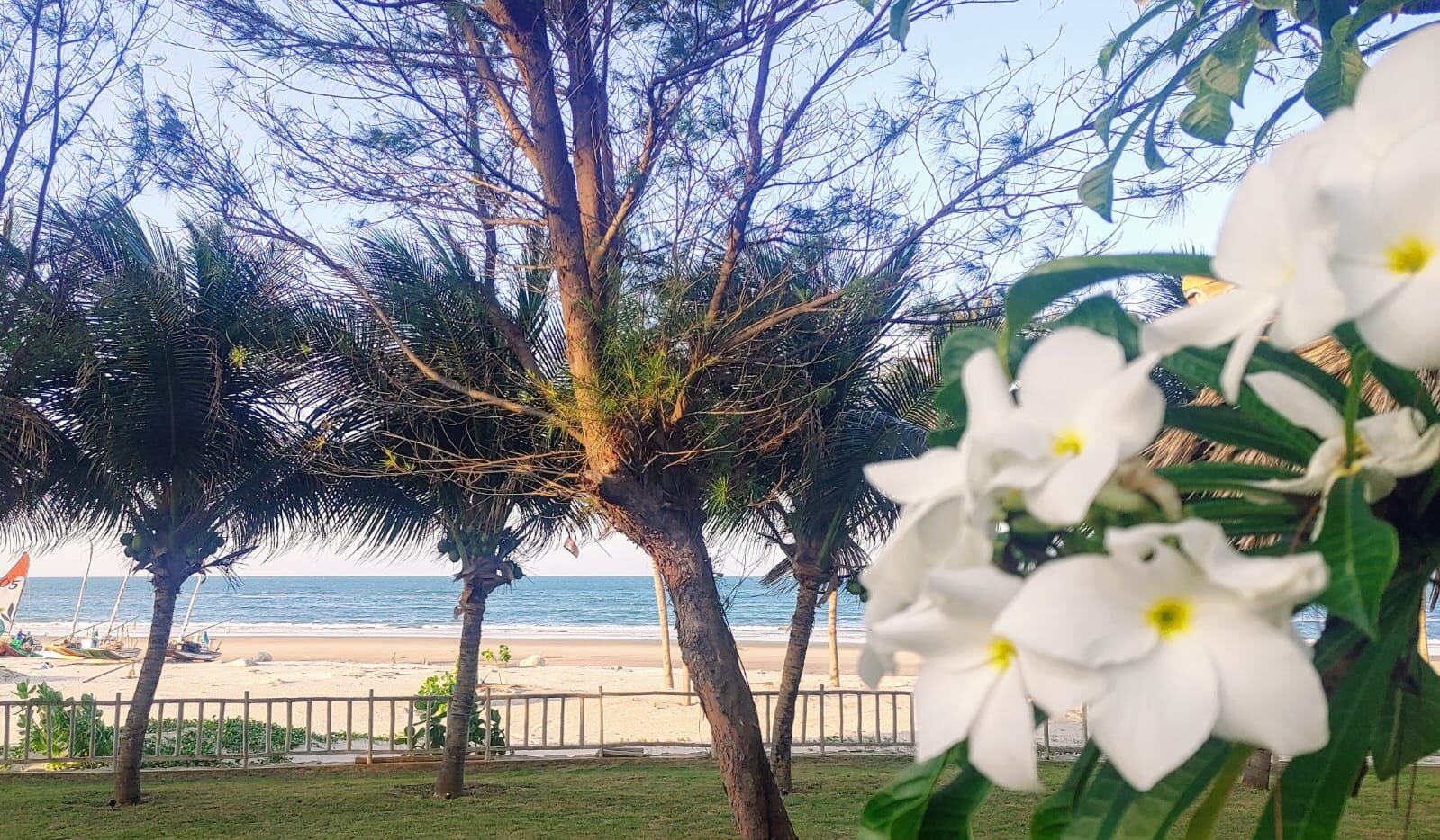 Hotel Vila Selvagem-泳池