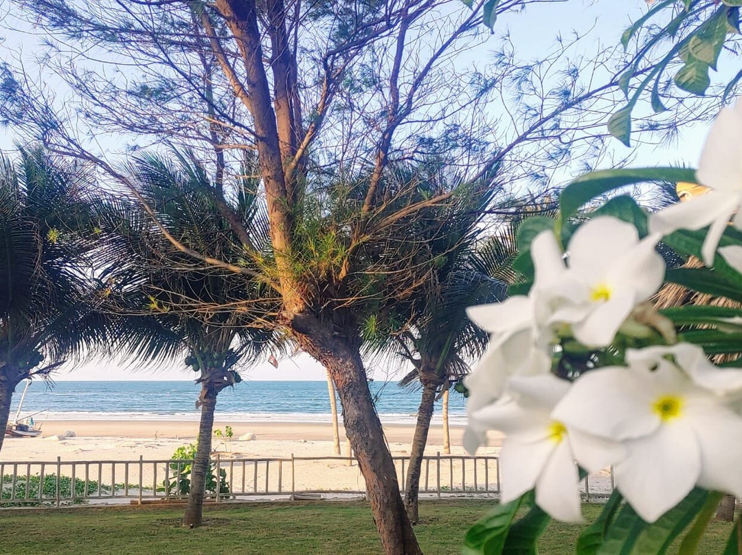 Hotel Vila Selvagem主图