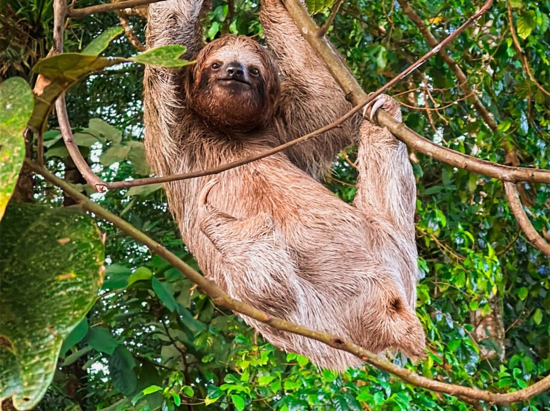 La Fortuna Travels-Muelle必去景点