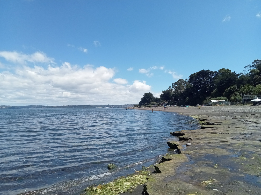 Playa Pelluhuin-蒙特港必去景点