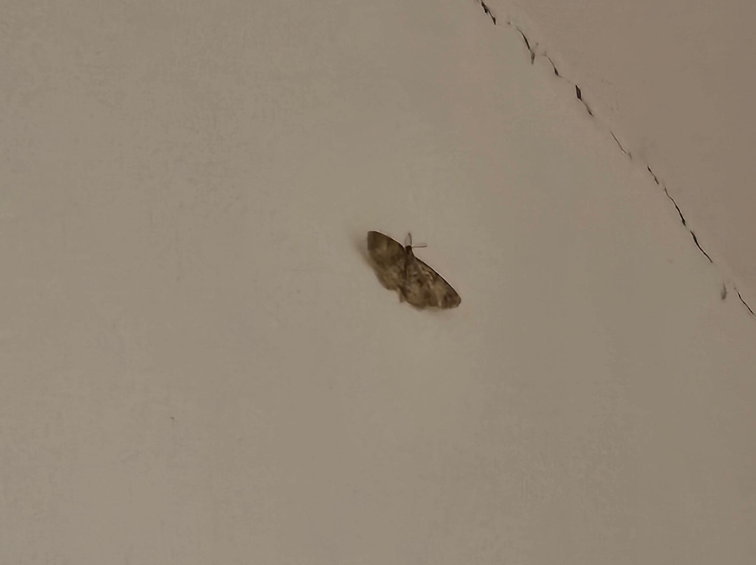 Bamboo Lodge Sacred Valley主图