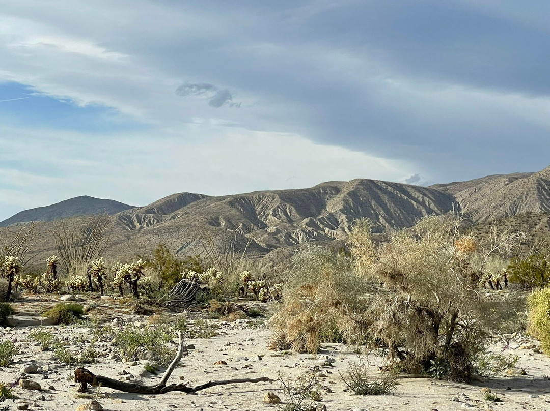 Stanlunds Inn and Suites主图