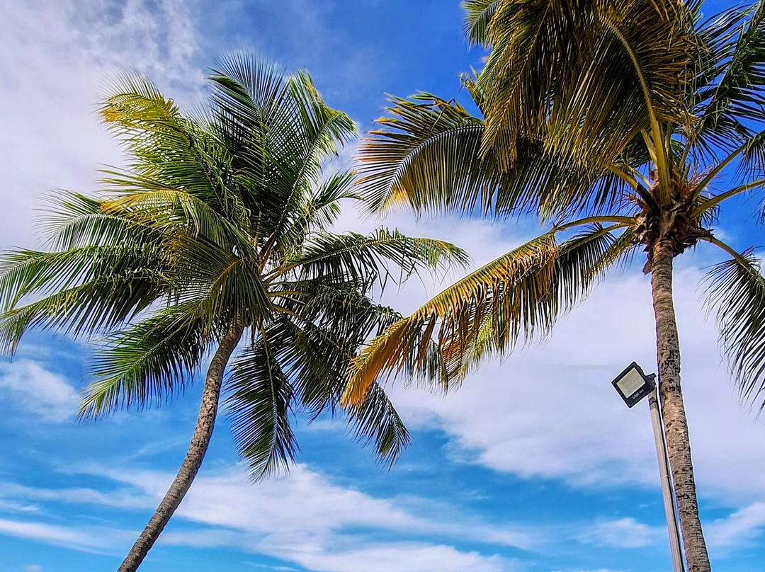 Praia de Mangue Seco-Mangue Seco必去景点