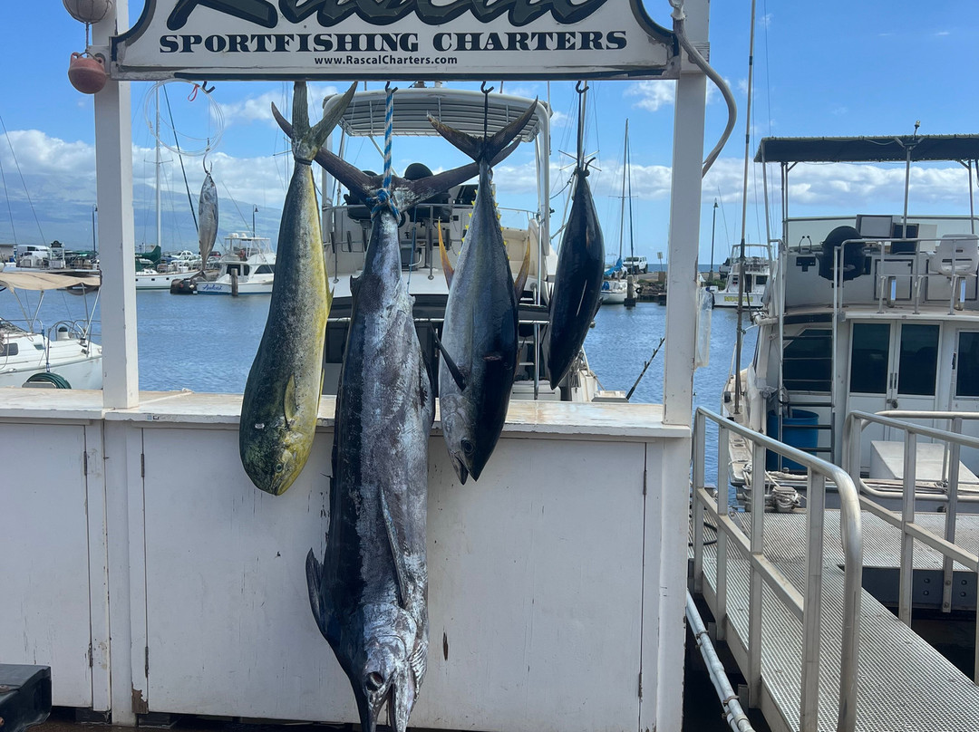 Rascal Charters-毛伊岛必去景点