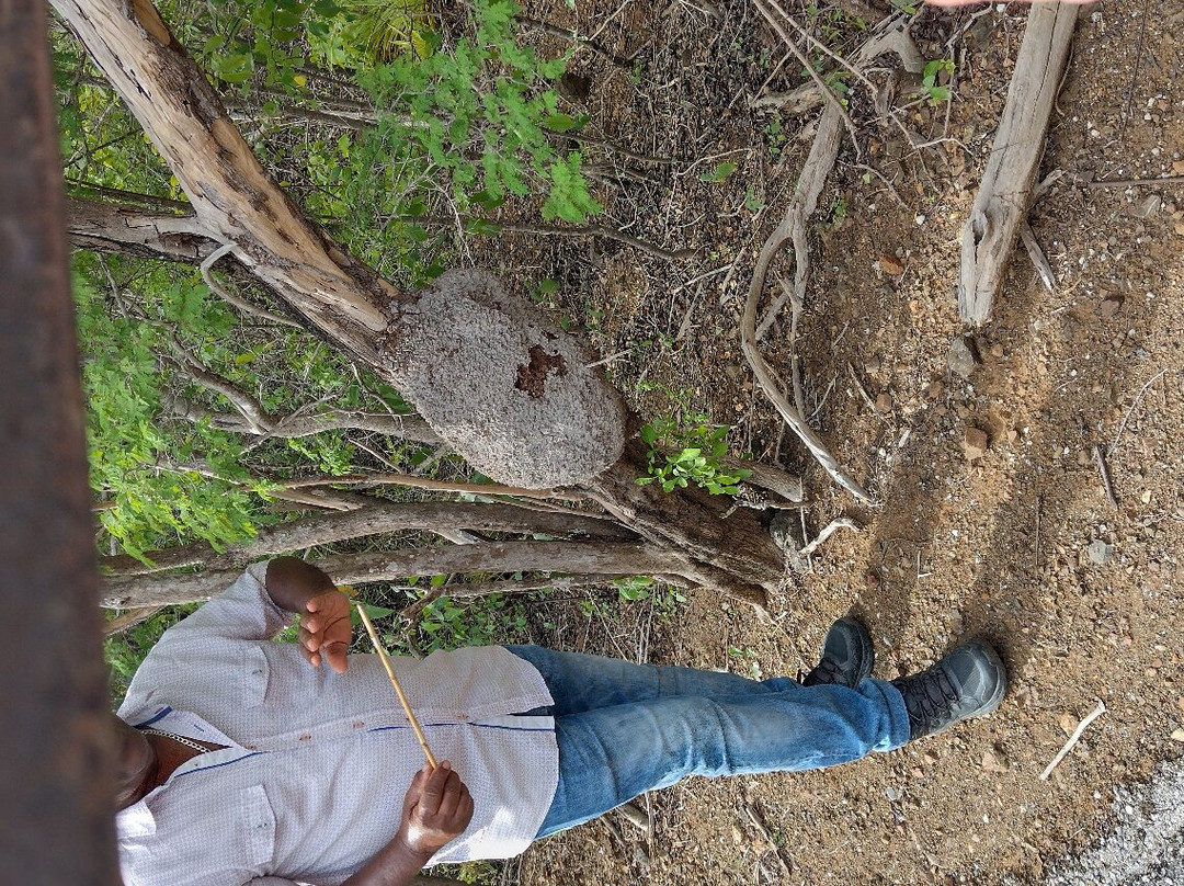 Mount Christoffel-Christoffel National Park必去景点