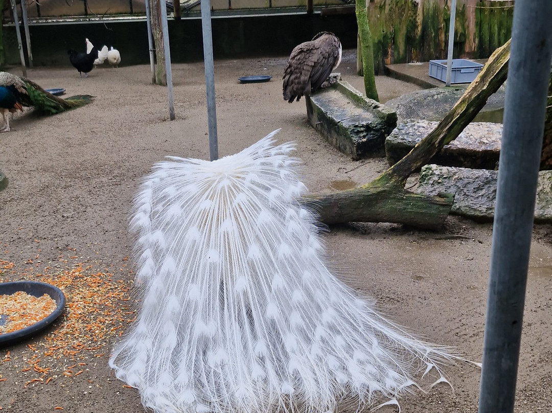 Bioparc Genève Pierre Challandes-Bellevue必去景点