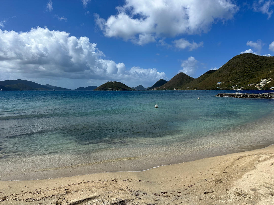 Fort Recovery Beachfront Villa & Suites主图