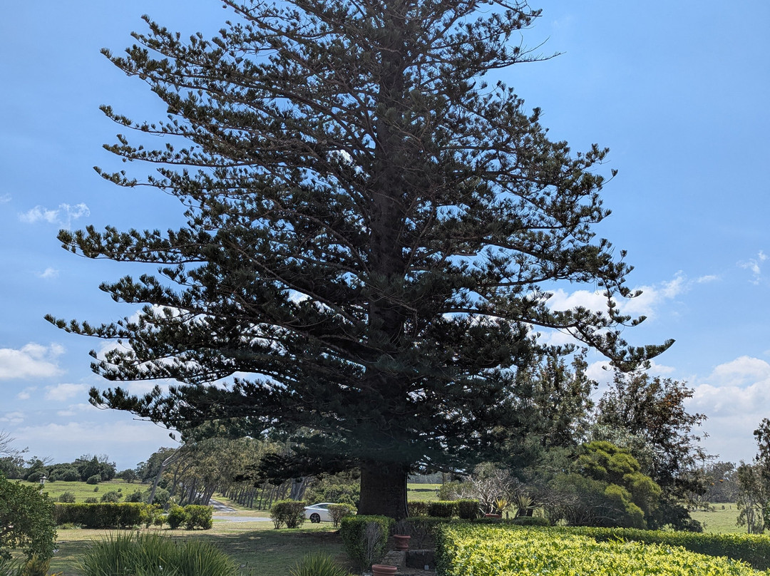 派克牧场-卡慕也拉必去景点