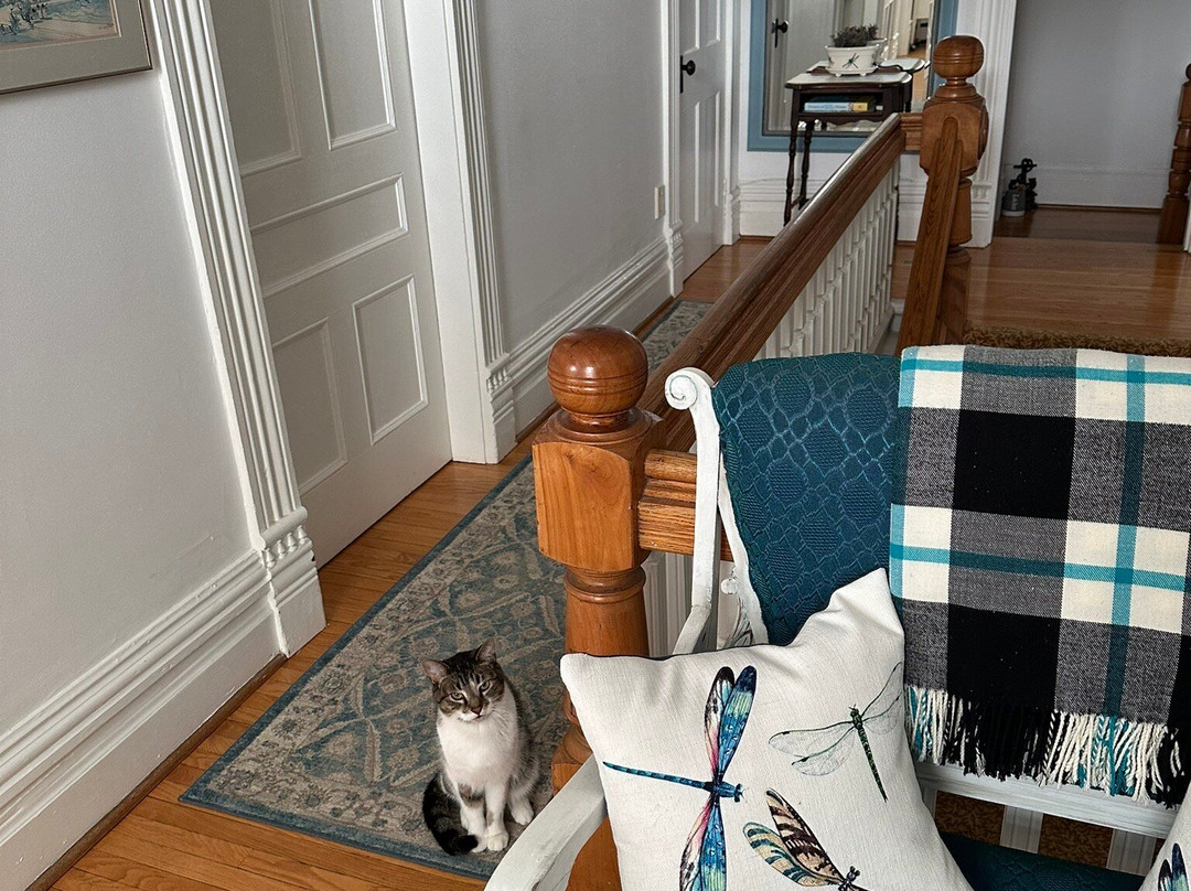 Dragonfly Dreams Inn主图