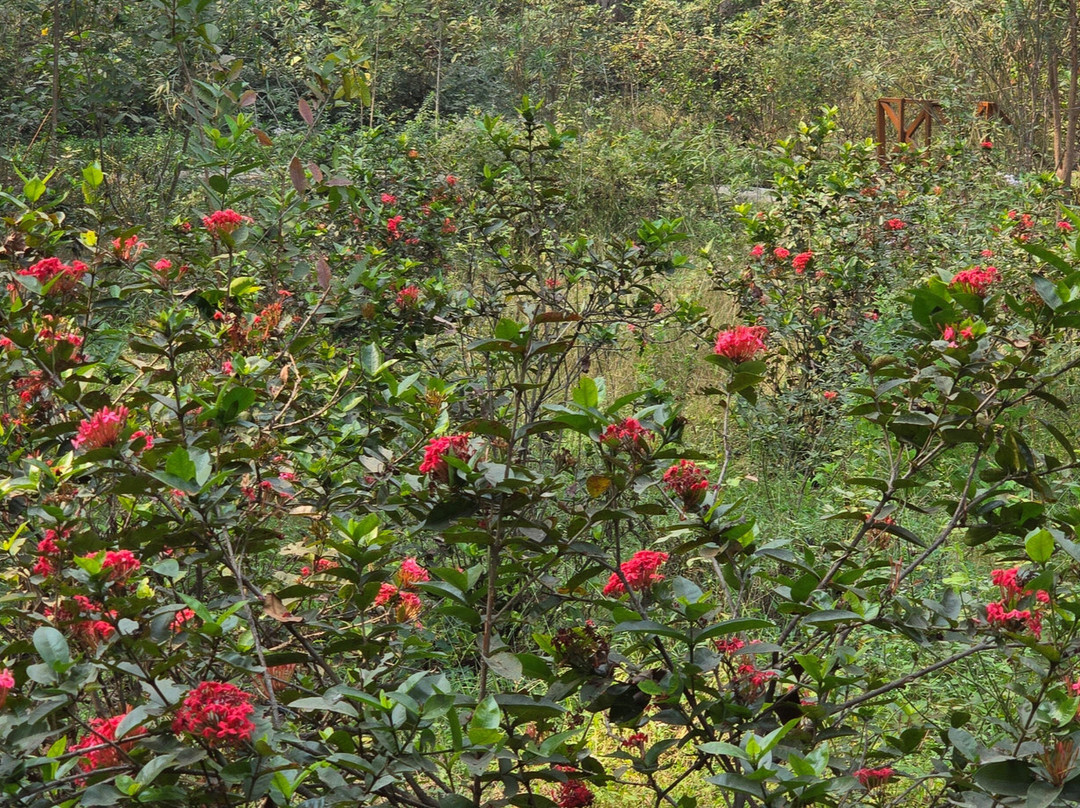 Butterfly Park-Khanvel必去景点