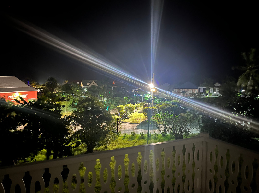 人工林酒店主图