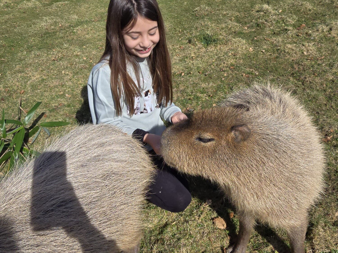 Secret Valley Wildlife Park-韦克斯福德必去景点