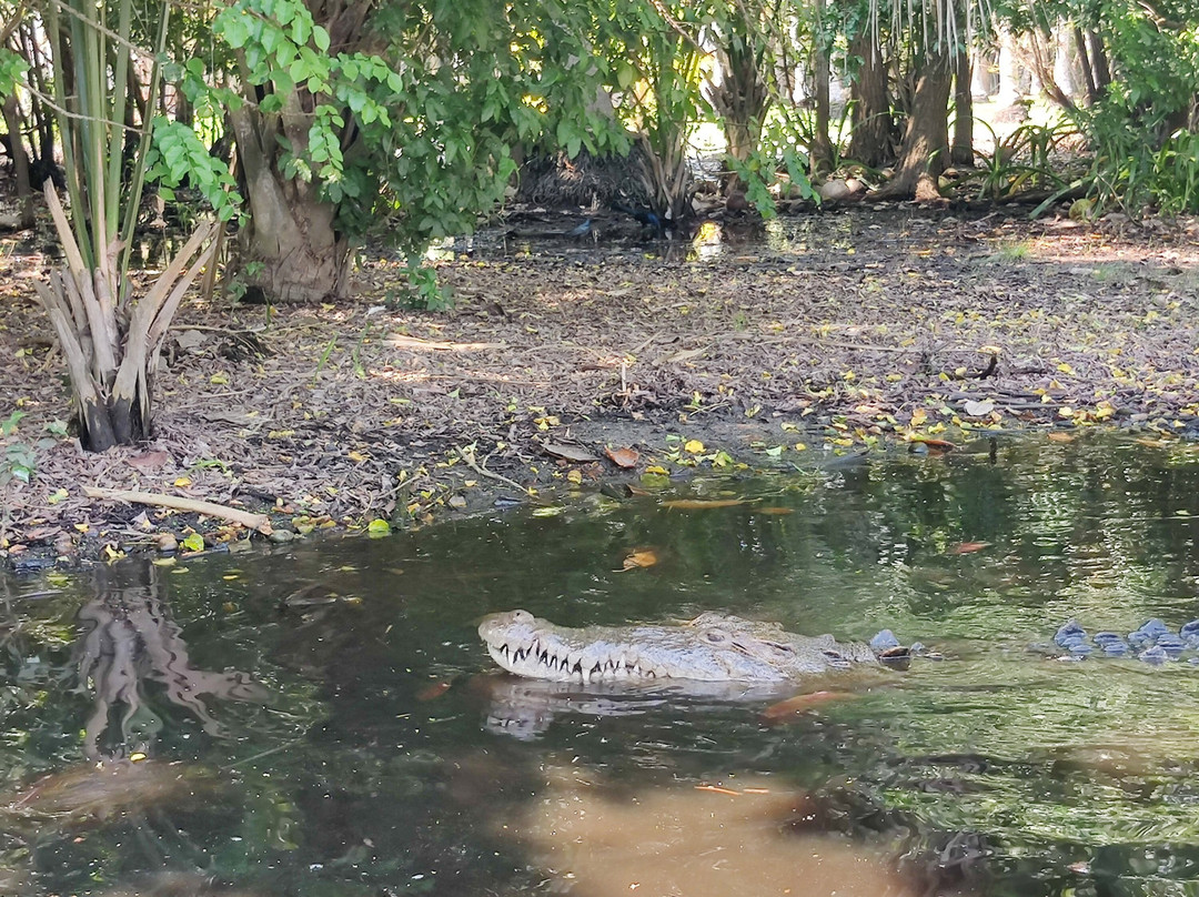 Laguna Ventanilla-Mazunte必去景点