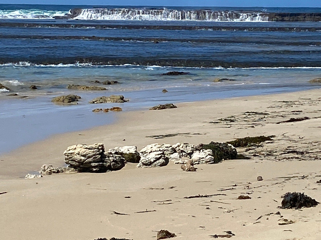 Mollymook Beach景点图片