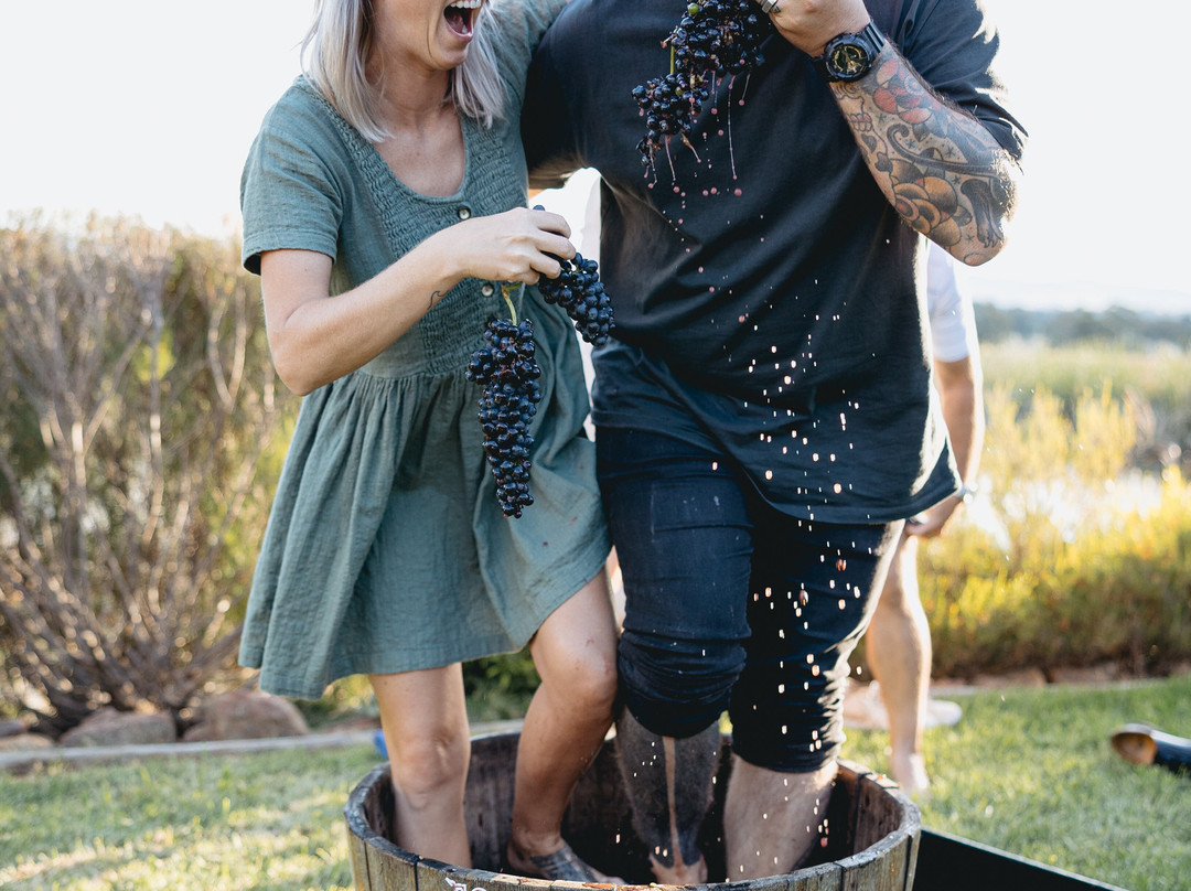 Robert Stein Winery, Vineyard & Farm-Budgee Budgee必去景点