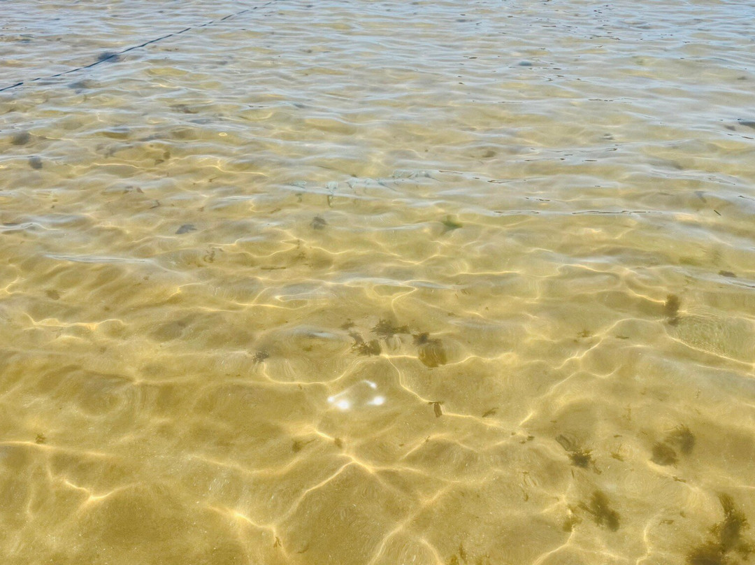 Camboinha Beach景点图片