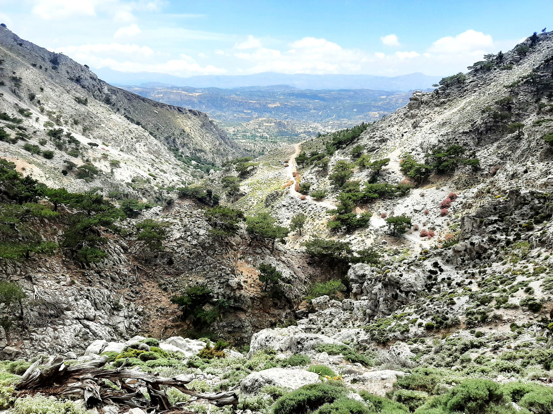 Rouvas Gorge (Agiou Nikolaou)-Zaros必去景点