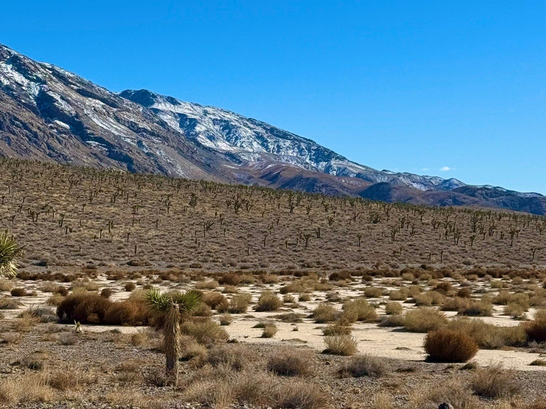 The Racetrack-死亡谷国家公园必去景点