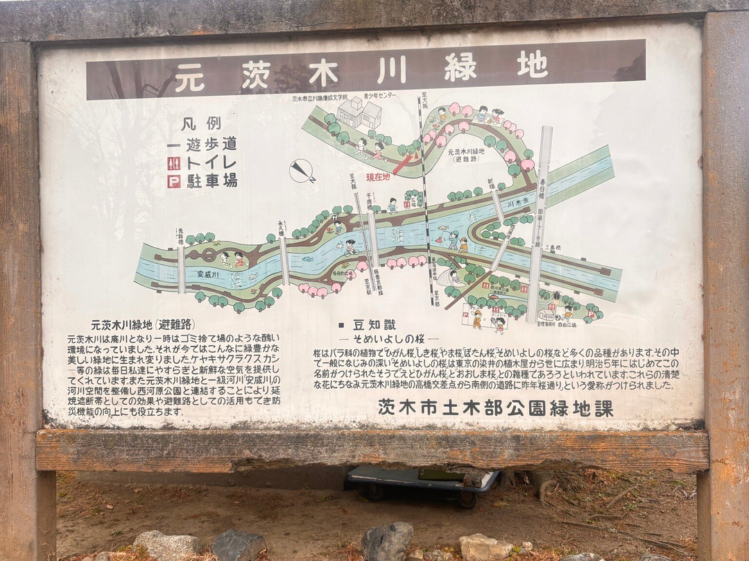 Motoibarakigawa Ryokuchi Park-茨木市必去景点