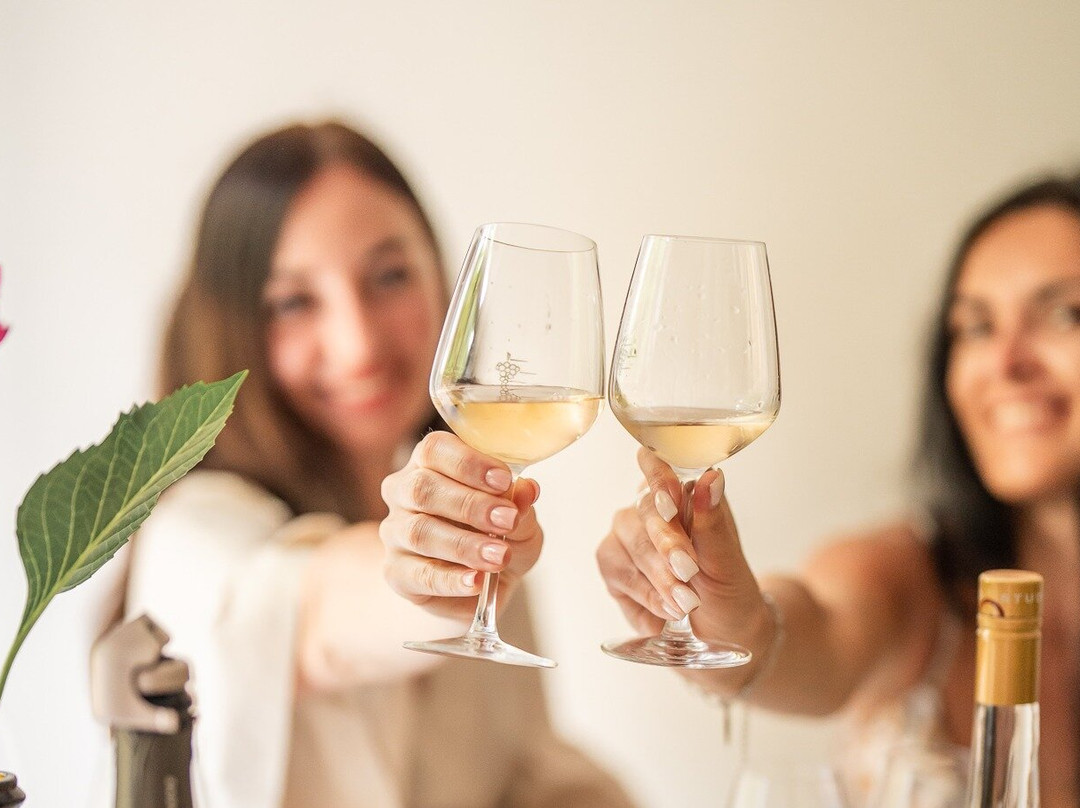 Wine Tasting and Tour in Nice, French Riviera-尼斯必去景点